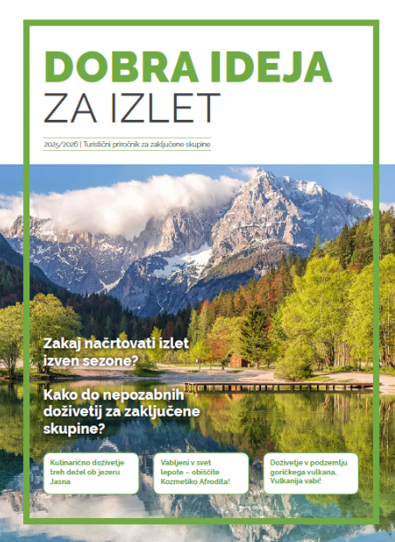 Travolt travel agency landing page